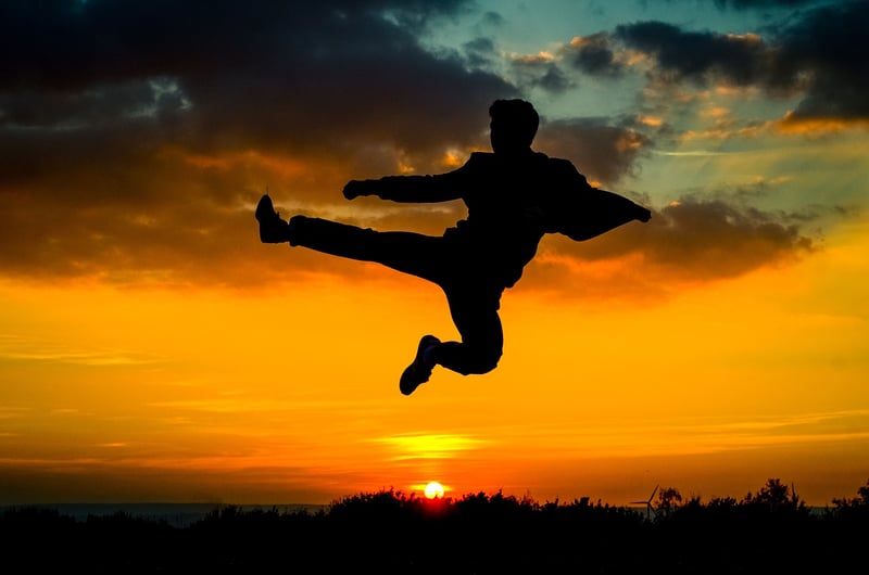 Chinese Martial Arts Silhouette